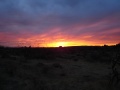 Sunset at Old Pueblo