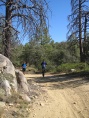 Mark and Craig running from T5 - TA