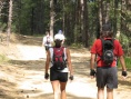 Getting points during Free style portion