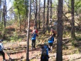 Three Team between T1 - T4