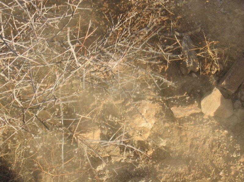 Picture of Nardo's Throw up