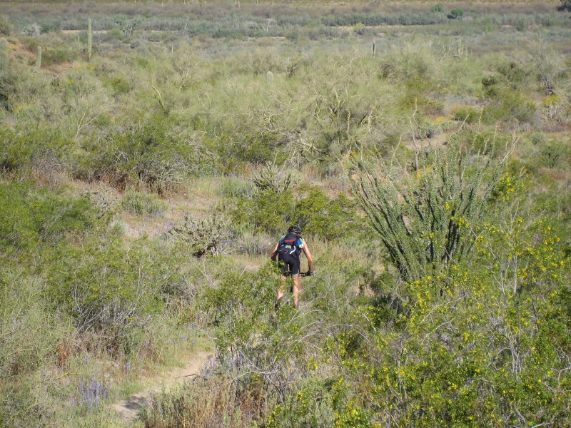 John going down again