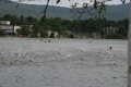 Lake Placid IM Swim