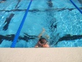 Nardo finishing swim