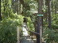 Daggett's Cabin Bridge